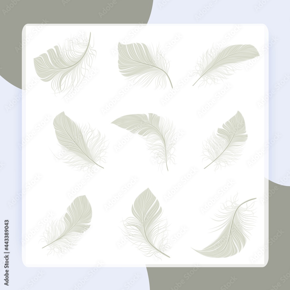 White bird wing feather decorative icons set isolated vector illustration