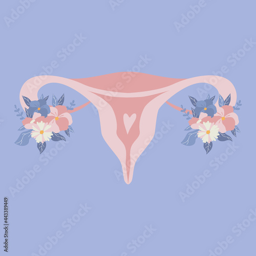 Female reproductive system, womb, ovary, vagina scheme. Hand drawn uterus with flowers. Menstruation theme. Period. Woman critical days. Gynecology and anatomy. Women health