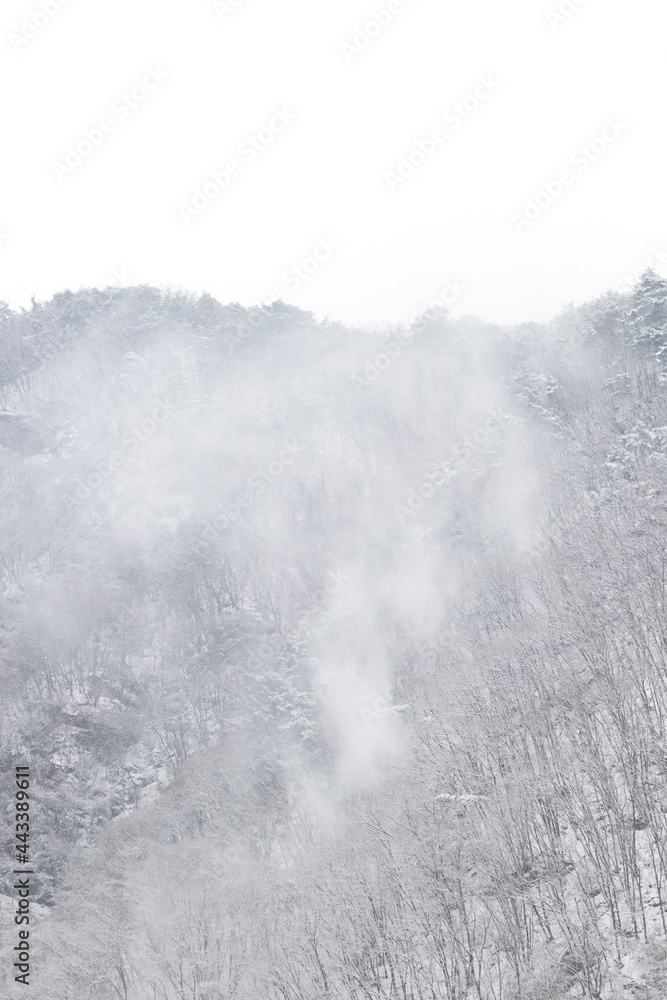 춘천의 겨울 모습