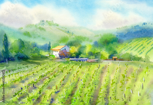 Watercolor painting of Vineyard landscape. Villa, plantation and buildings. Green colors.