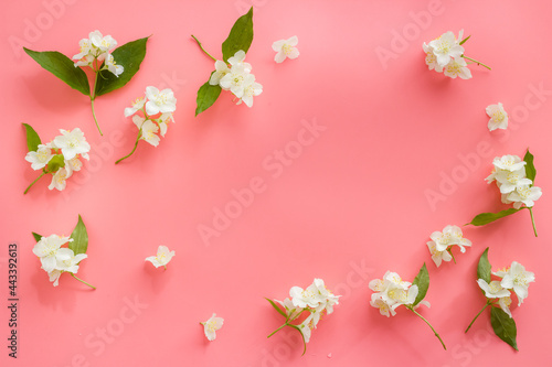 White jasmine flowers pattern top view. Floral flat lay © 9dreamstudio