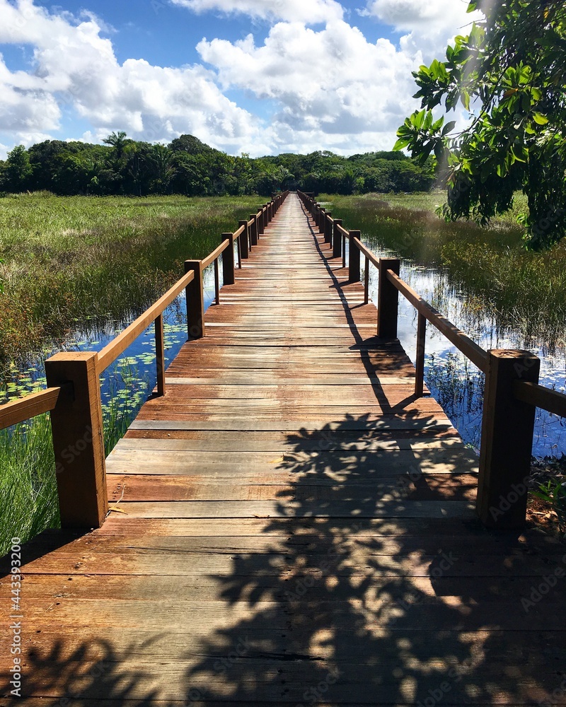 Obraz premium wooden bridge in the forest