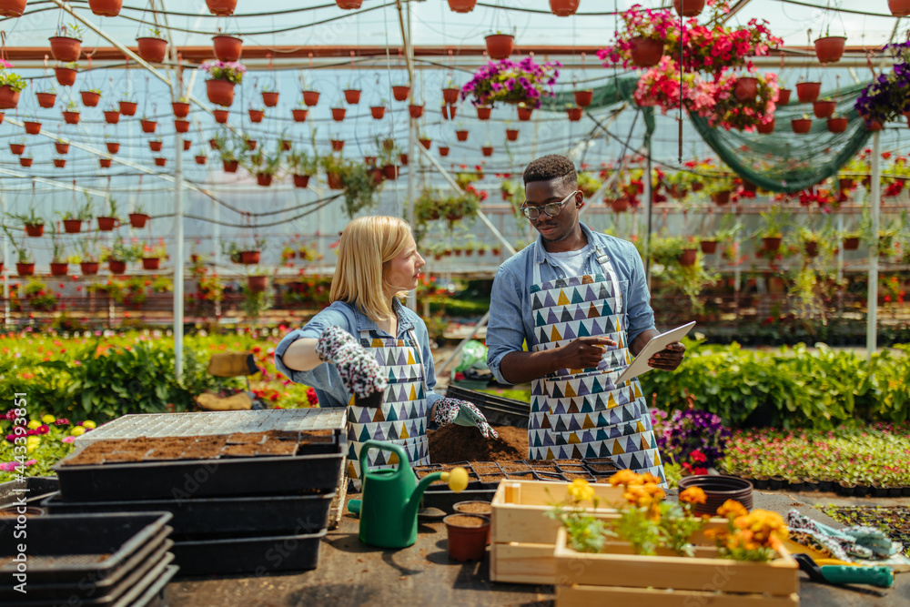 Two diverse people working in a garden center via technology