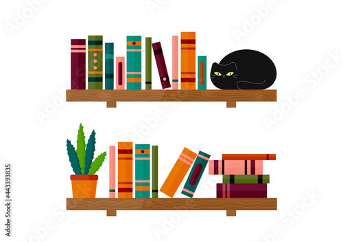 Books on shelf with black cat and aloe pot. Cat sitting on bookshelf. Vector illustration.