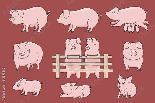 illustration set of different pig poses in a cute cartoon style.sleeping, standing, walking, breastfeeding, on a dark red background, hand drawn