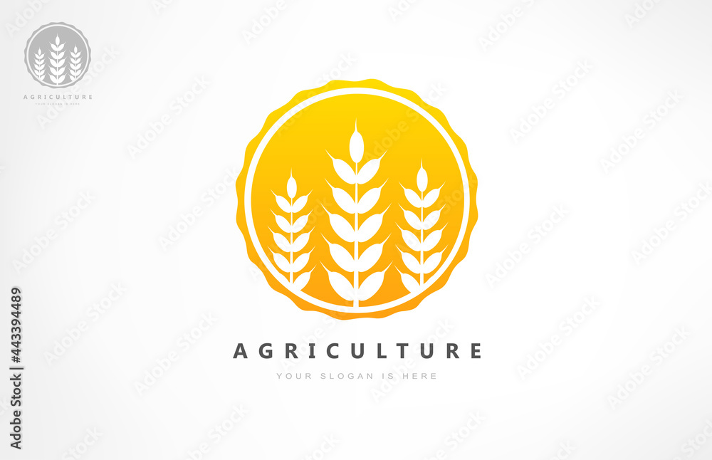 Wheat logo vector. Agriculture design. Wheat logo vector. Agriculture design.