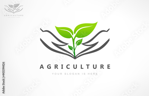 The plant in the hands logo. Caring for nature. Logo of agriculture.