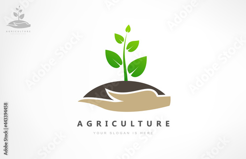 The plant in the hands logo. Caring for nature. Logo of agriculture.