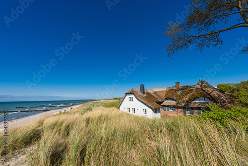 Quadro su tela Reetgedeckter Kotten (Haus) in den Dünen bei Ahrenshoop auf dem Darß; Deutschlan