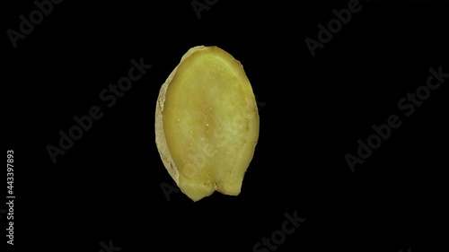 Ginger Slice on Black Background