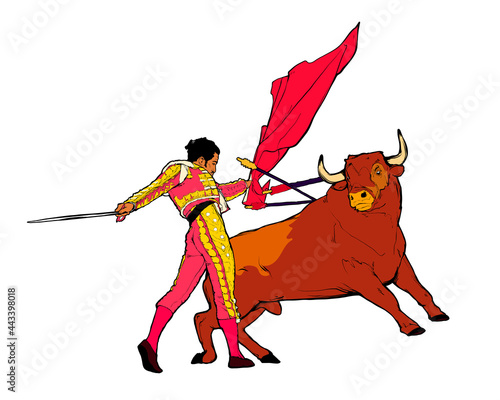 Bull and toreador, spanish corrida vector art photo