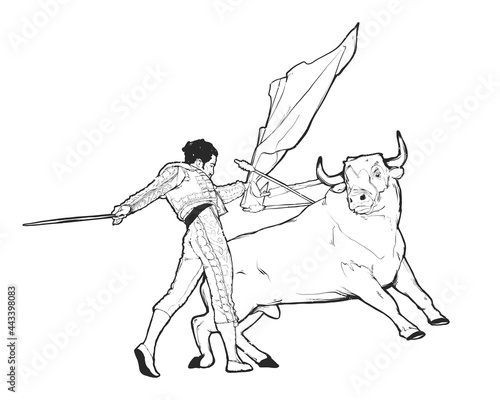 Bull and toreador, spanish corrida vector art