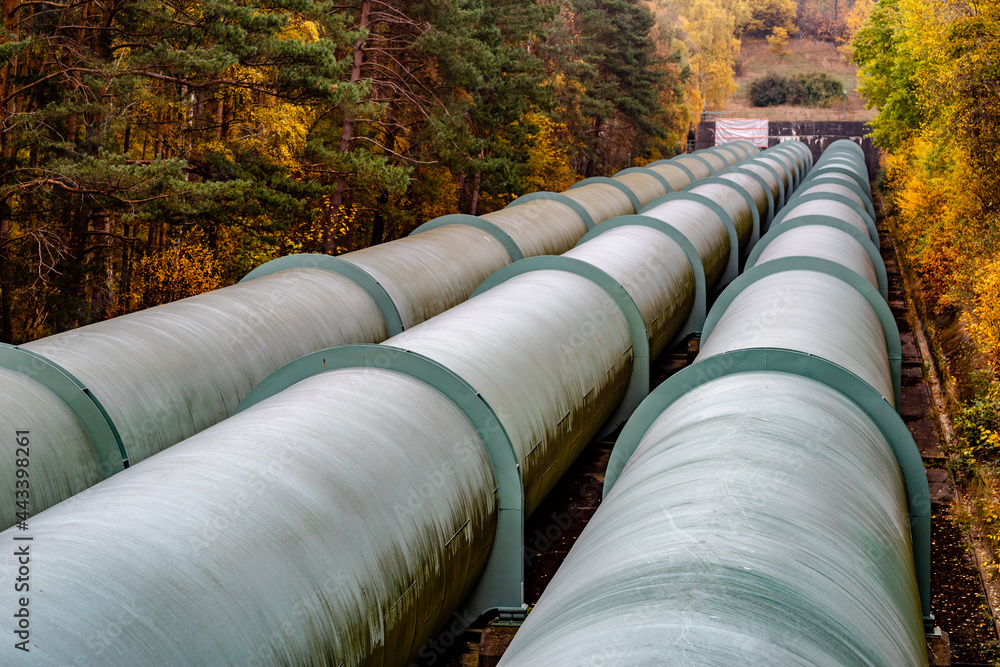 Pipeline of a pumped storage power plant surrounded by trees
Pipeline of a pumped storage power plant surrounded by trees