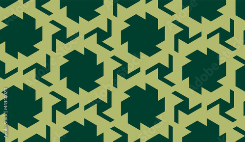 Geometric seamless pattern....