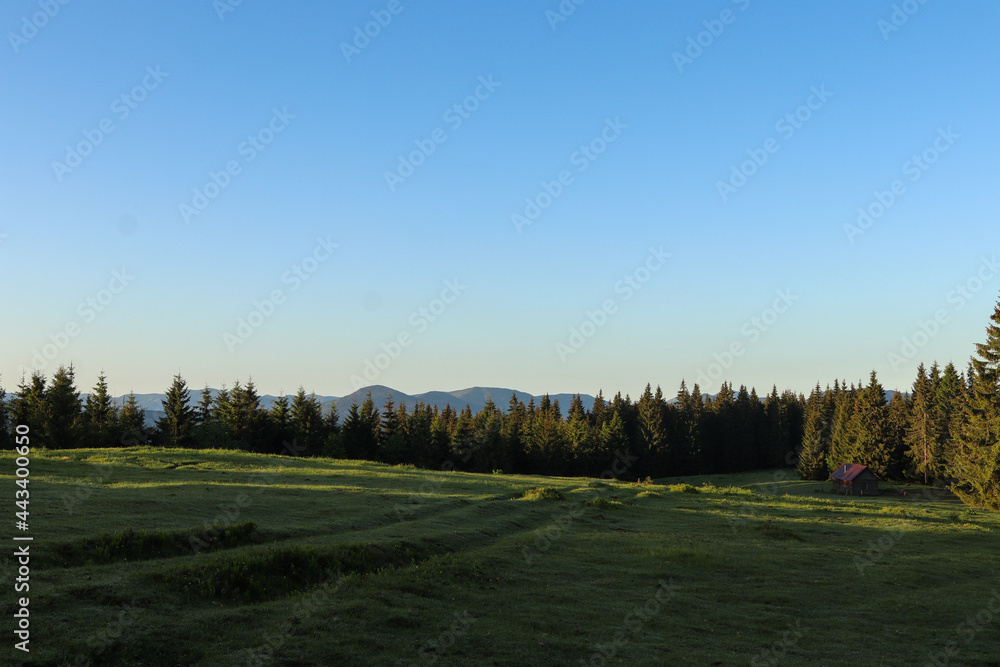landscape with trees landscape with trees