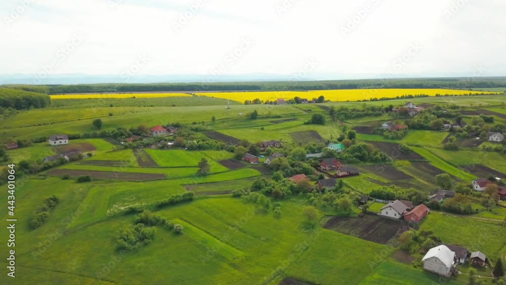 Aerial drone view of green agricultural field in the countryside of Ukraine Aerial drone view of green agricultural field in the countryside of Ukraine