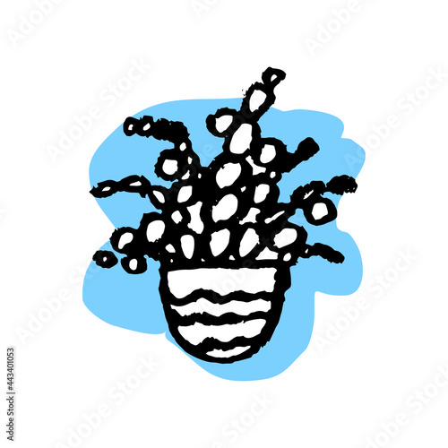 flower in a pot for home - isolate on a white background. to grow plants. garden