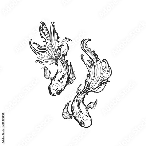 Gold fish in corals, line vector hand drawn art