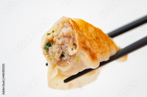Foto 焼餃子