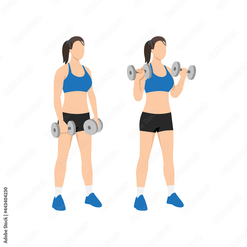 Woman doing Dumbbell bicep reverse curls exercise. Flat vector ...