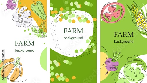 Set of agricultural backgrounds. Harvest. Abstract design. Flyer backgrounds. banners, posters.
