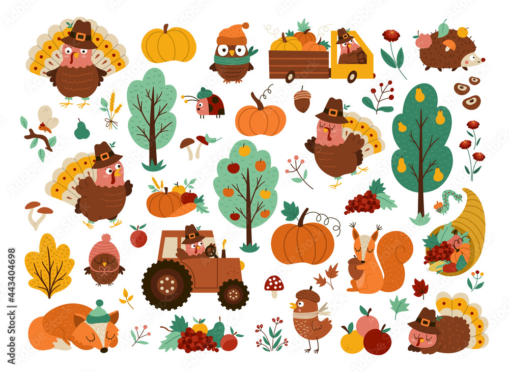 Vector Thanksgiving elements set. Autumn icons collection with funny ...