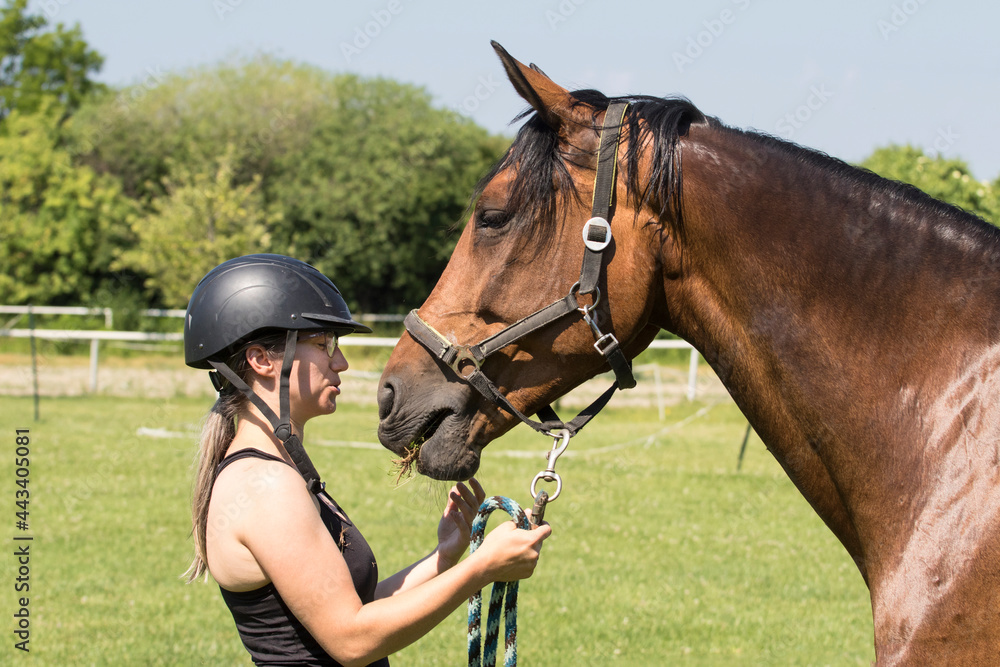 Portrait of a girl  in helmet holding a sorrel horse by the reins