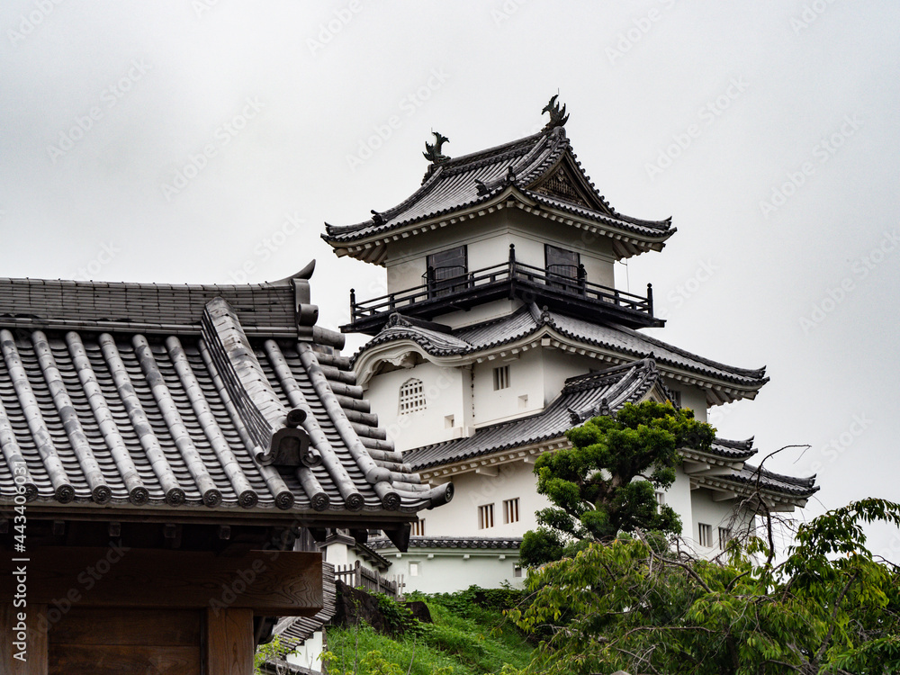 Japanese castle in the city