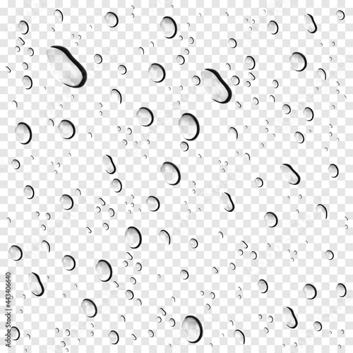 Clear water drops on transparent background. Raindrops on window. Waterdrops on glass surface. Realistic vector illustration