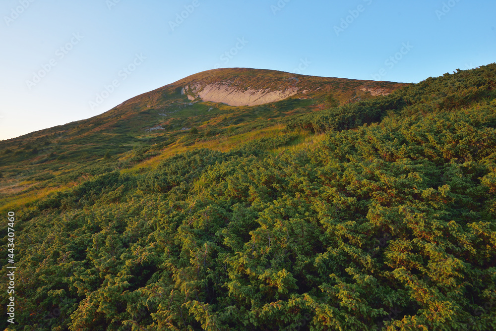 Foot of the mountain Hoverla in Carpathian Mountains, Ukraine