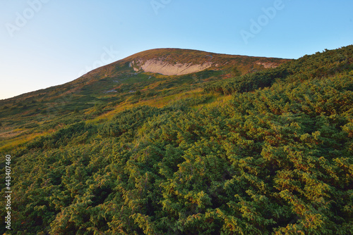 Foot of the mountain Hoverla in Carpathian Mountains  Ukraine