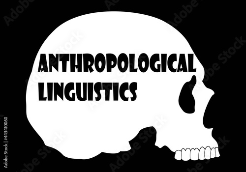Silueta blanca  de cráneo humano con el texto de antropología lingüística en negro sobre fondo blanco