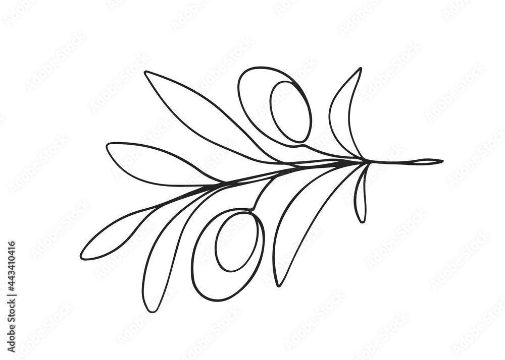 One line drawing olives One line drawing olives