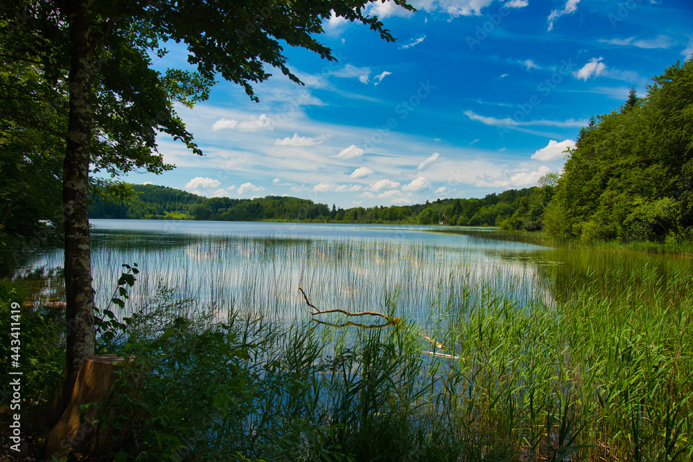 Fototapeta premium Lacs de Maclu im französischen Jura
