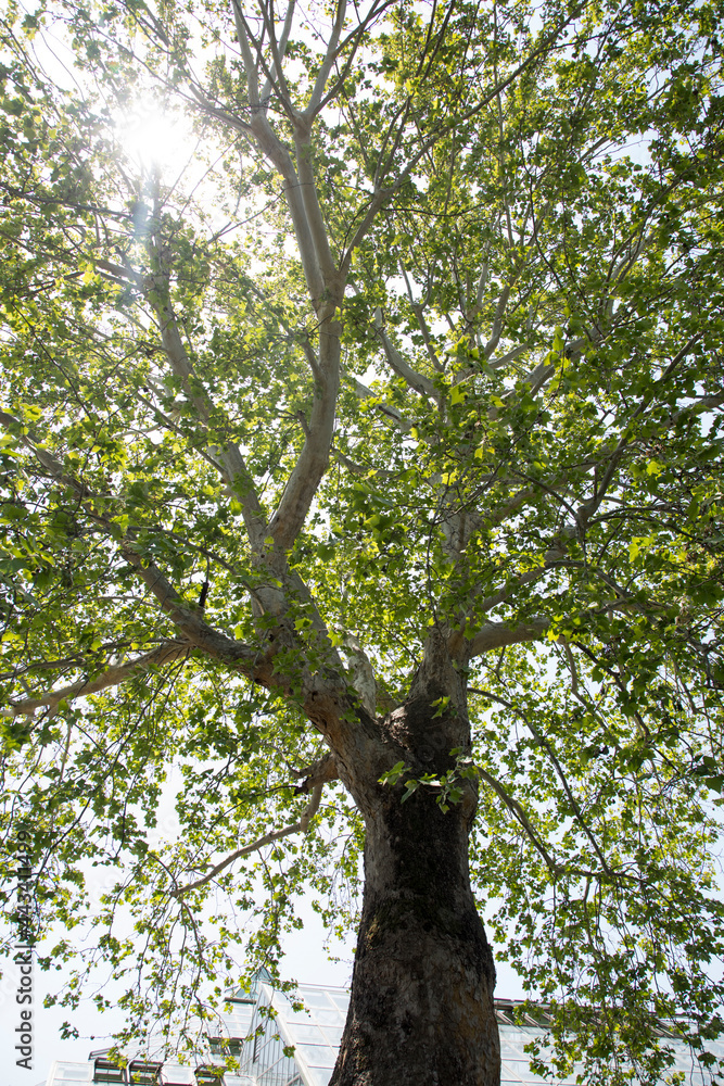 Fototapeta premium 강원도립화목원