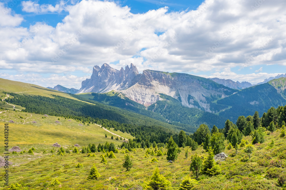 Alps meadow in a valley with mountain peaks