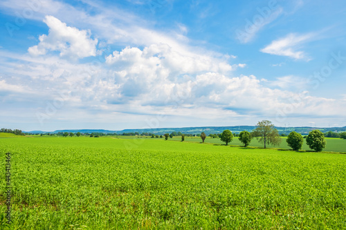 Green fields in a rural landscape with hills on the horizon