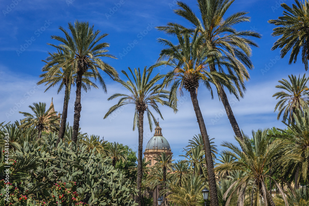 Palms in Villa Bonanno park in Palermo, capital of Sicily Island, Italy - view with cathedral tower