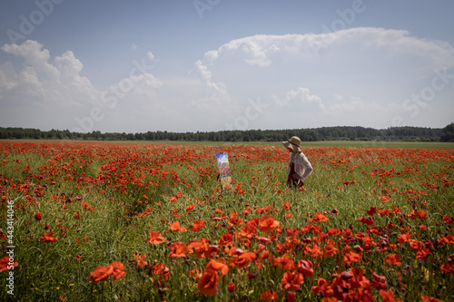 Mature woman artist paints a picture from nature on a field of blooming poppies. The artist looks at her work  general plan