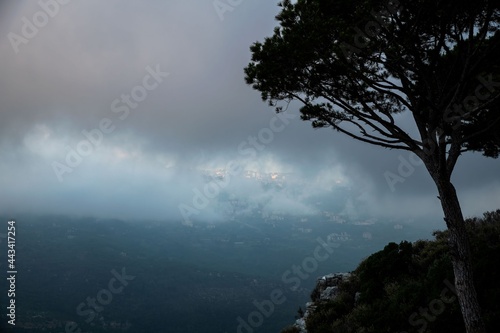 tree silhouette and cloud sky above a mountain valley in Lebanon