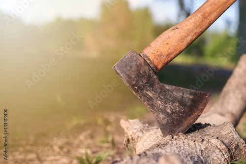 Canvastavla Old hatchet or ax on brown log wood in forest close-up.