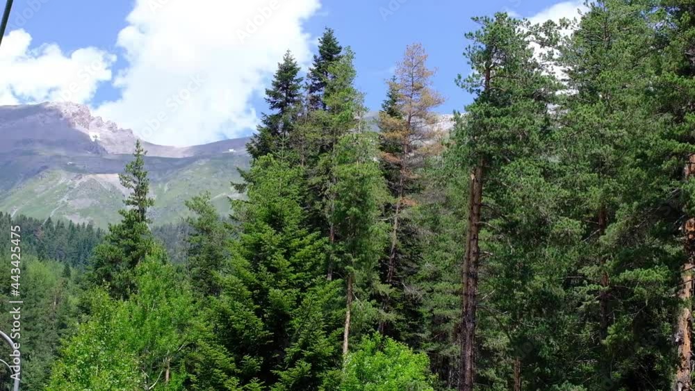 Panoramic view of the forest and the Caucasus mountains. Shooting from a height. Panoramic view of the forest and the Caucasus mountains. Shooting from a height.