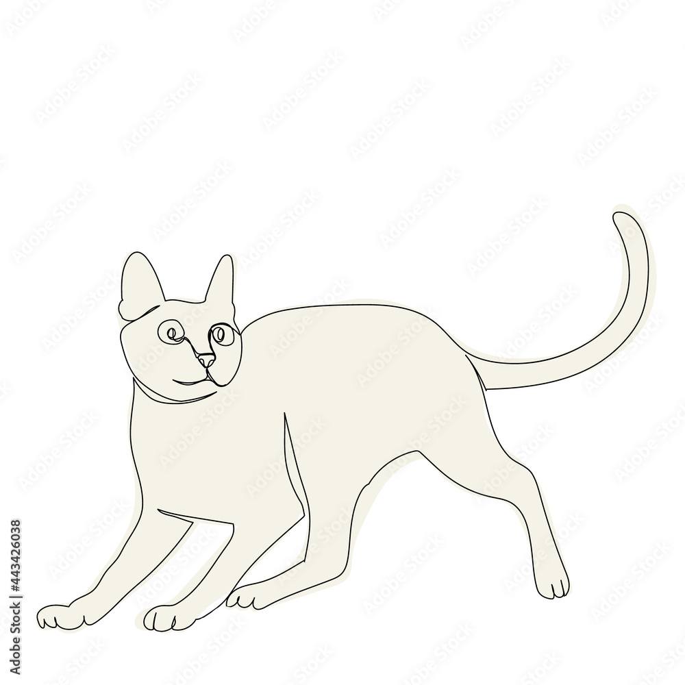 cat line drawing, picture, isolated, vector