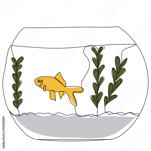 aquarium with fish line drawing, picture, isolated, vector
