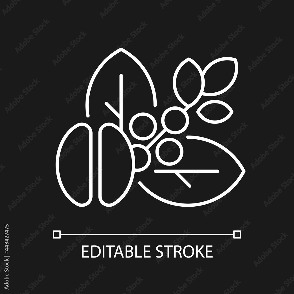 Raw coffee beans white linear icon for dark theme. Unprocessed arabica. Barista accessories. Thin line customizable illustration. Isolated vector contour symbol for night mode. Editable stroke Raw coffee beans white linear icon for dark theme. Unprocessed arabica. Barista accessories. Thin line customizable illustration. Isolated vector contour symbol for night mode. Editable stroke