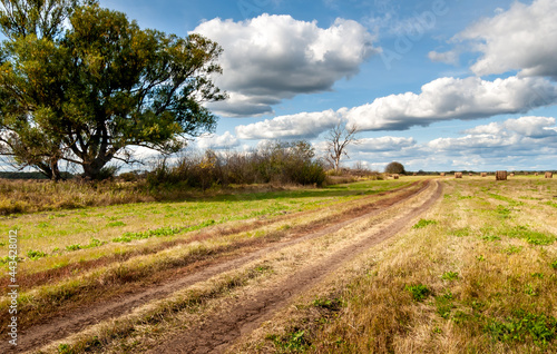 A road in the meadows of the Oka River floodplain. Ryazan region, Russia.