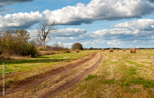 A country road in the floodplain of the Oka River. Ryazan region, Russia.
