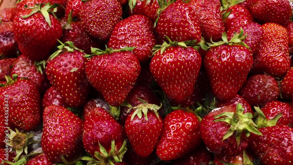 Rotting and Decay Strawberries, Mold and bacteria, Fruit quickly