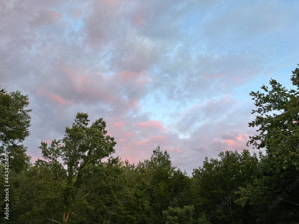 sky and clouds trees and clouds sky and clouds trees and clouds