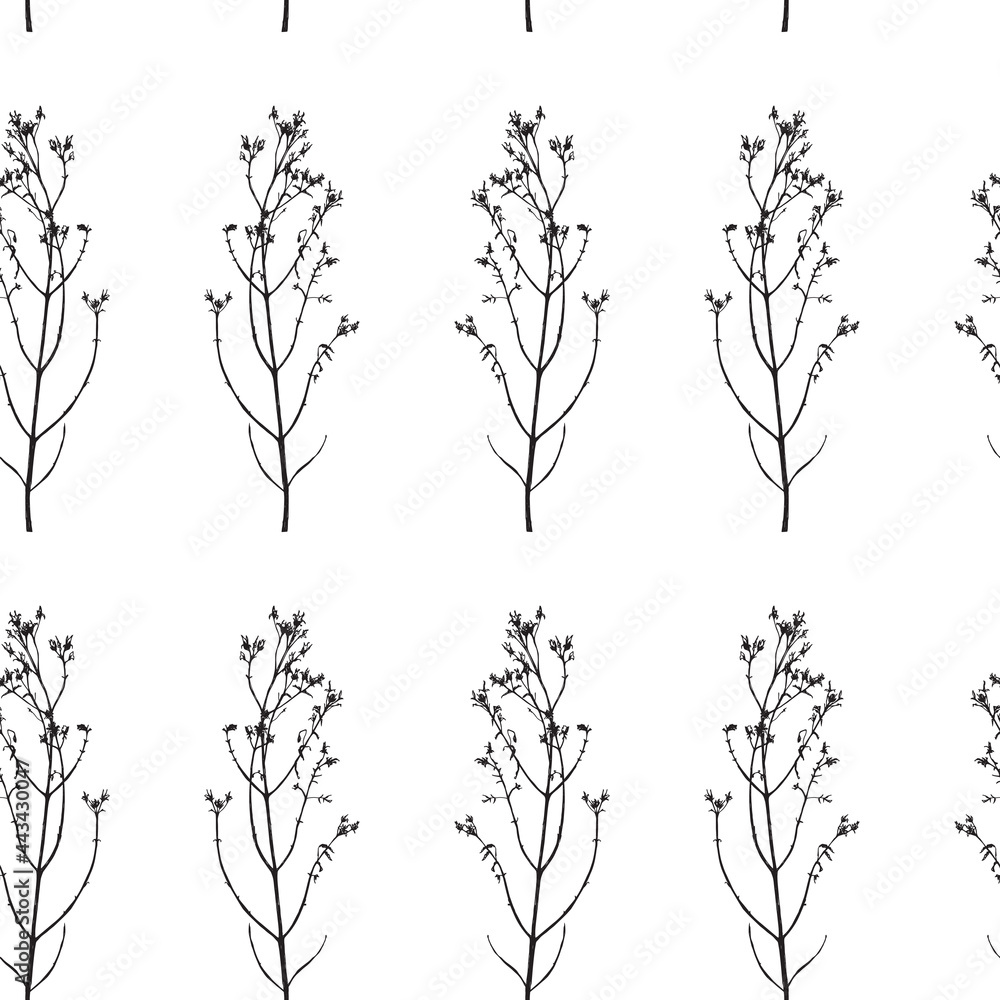 Seamless pattern. Vector illustration with wildflower. Doodle sketch.